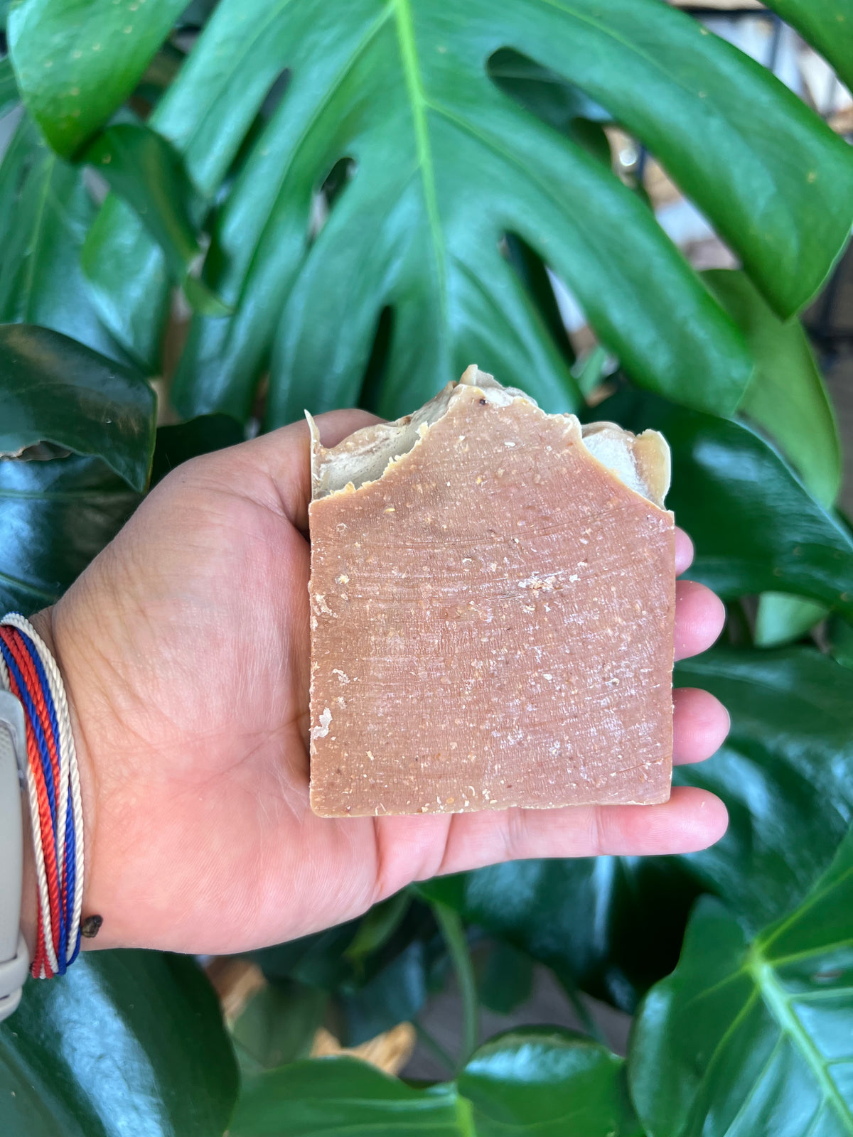 Almost Autumn Goat's Milk Soap