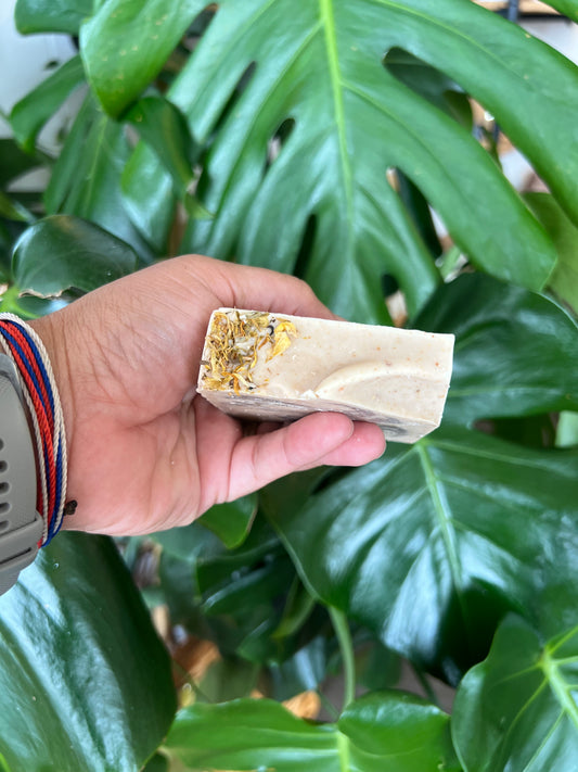 Autumn Woods Goat's Milk Soap