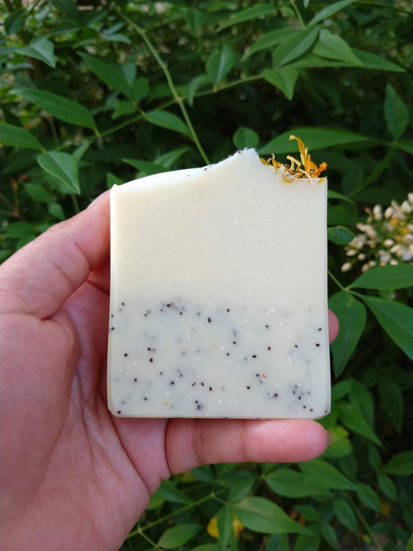 Calendula & Lemongrass Goat's Milk Soap