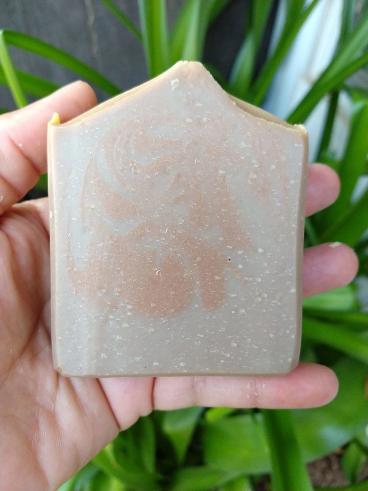 Amber & Driftwood Goat's Milk Soap